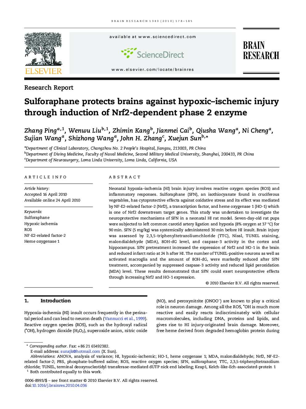 Sulforaphane protects brains against hypoxic–ischemic injury through induction of Nrf2-dependent phase 2 enzyme