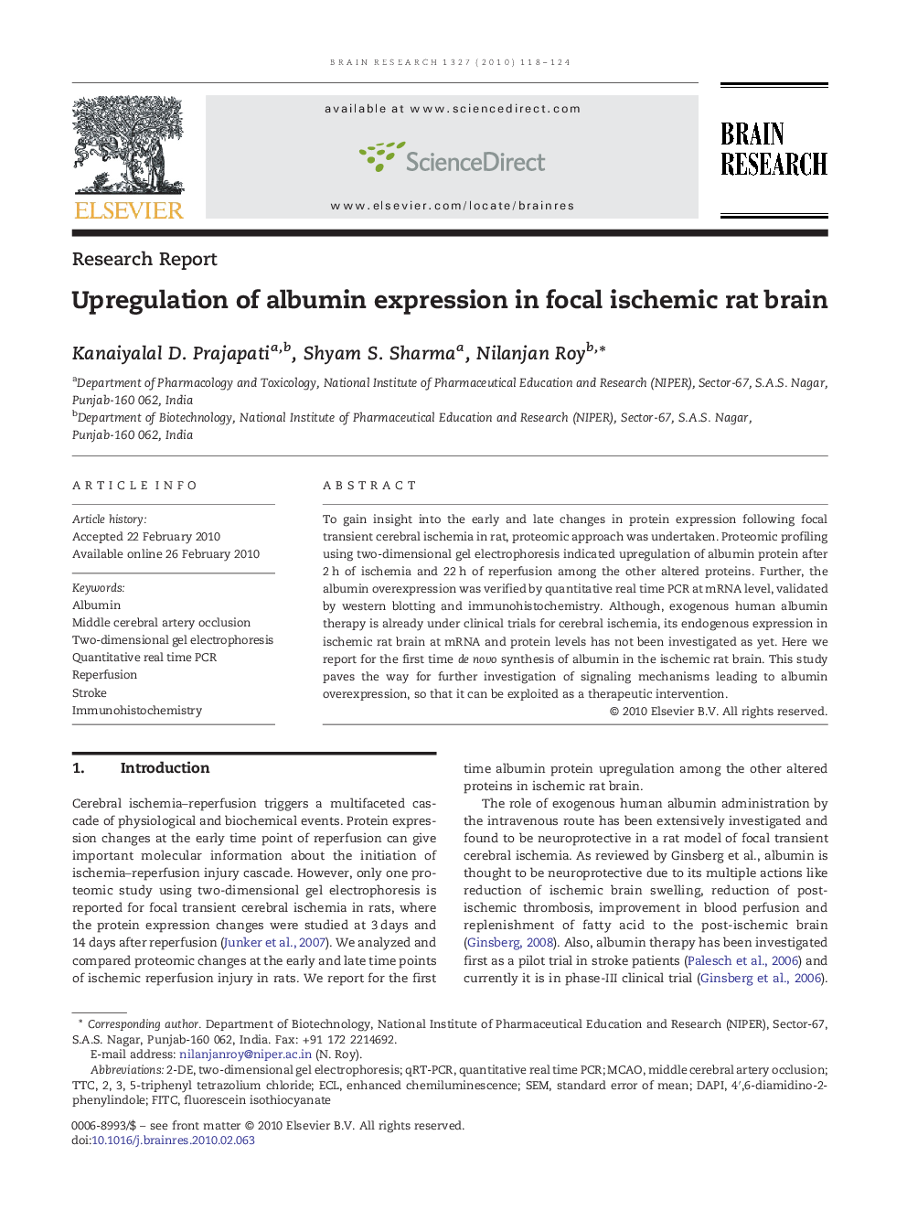 Upregulation of albumin expression in focal ischemic rat brain