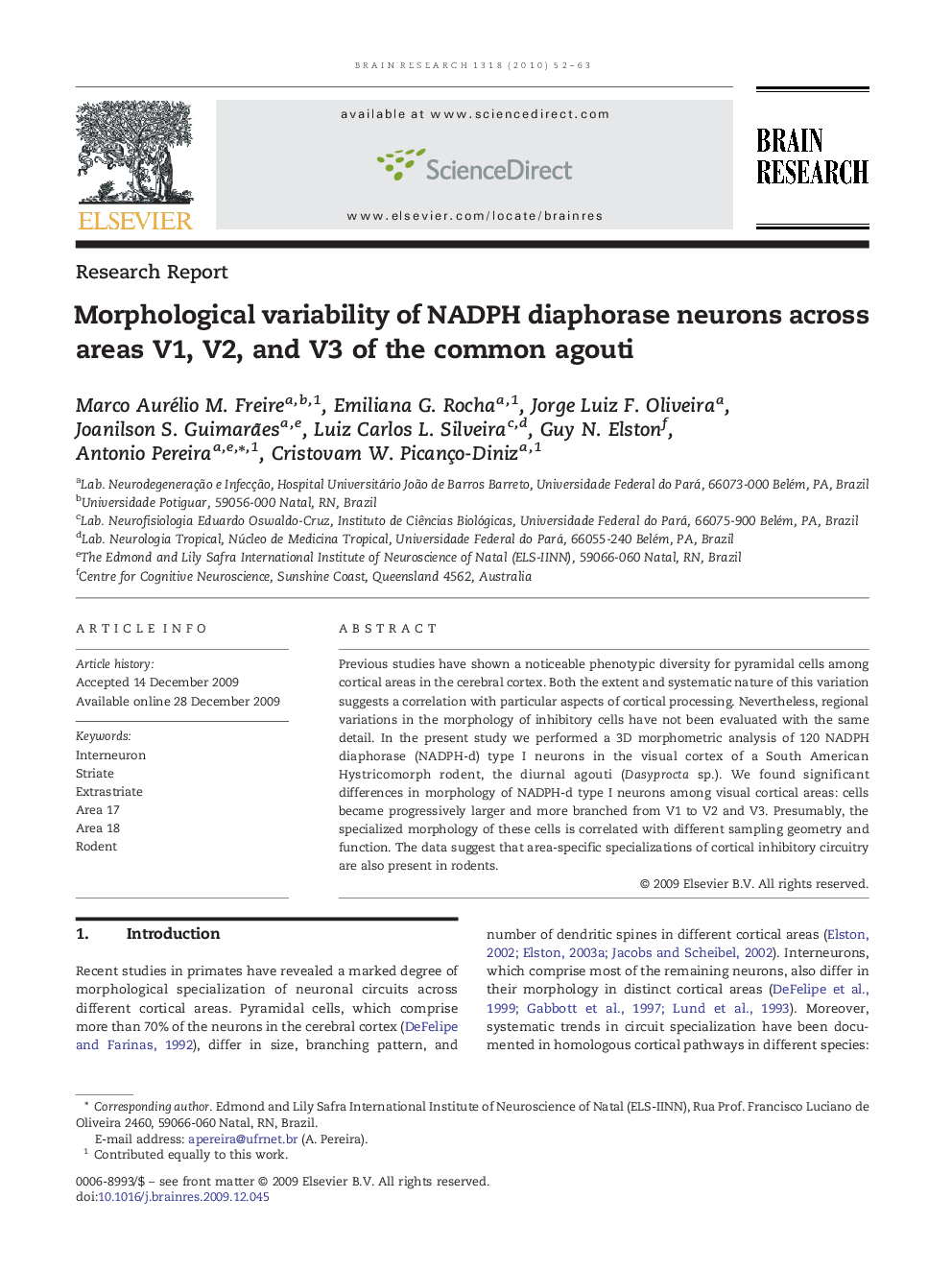 Morphological variability of NADPH diaphorase neurons across areas V1, V2, and V3 of the common agouti