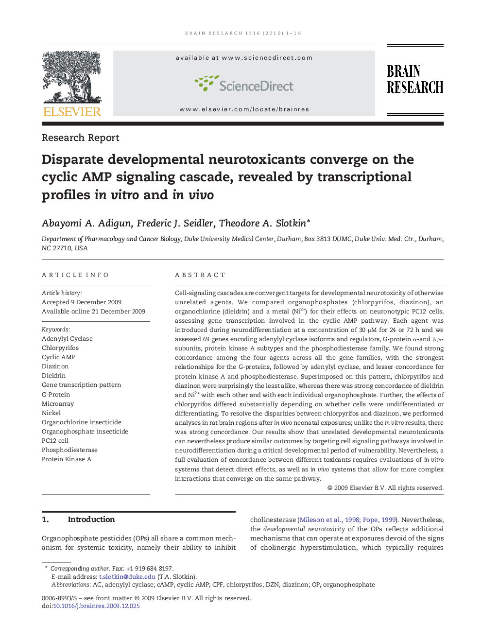 Disparate developmental neurotoxicants converge on the cyclic AMP signaling cascade, revealed by transcriptional profiles in vitro and in vivo