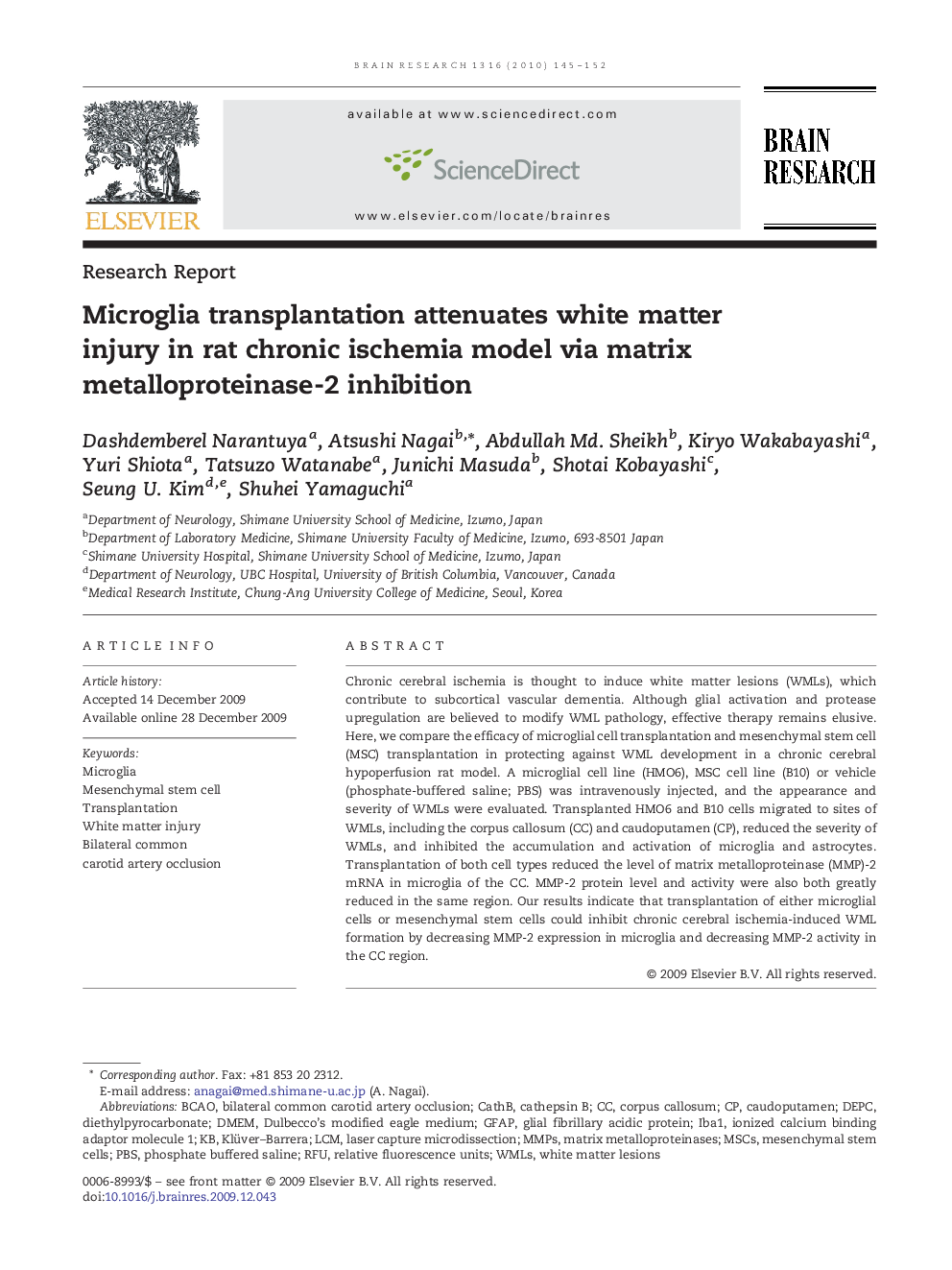 Microglia transplantation attenuates white matter injury in rat chronic ischemia model via matrix metalloproteinase-2 inhibition