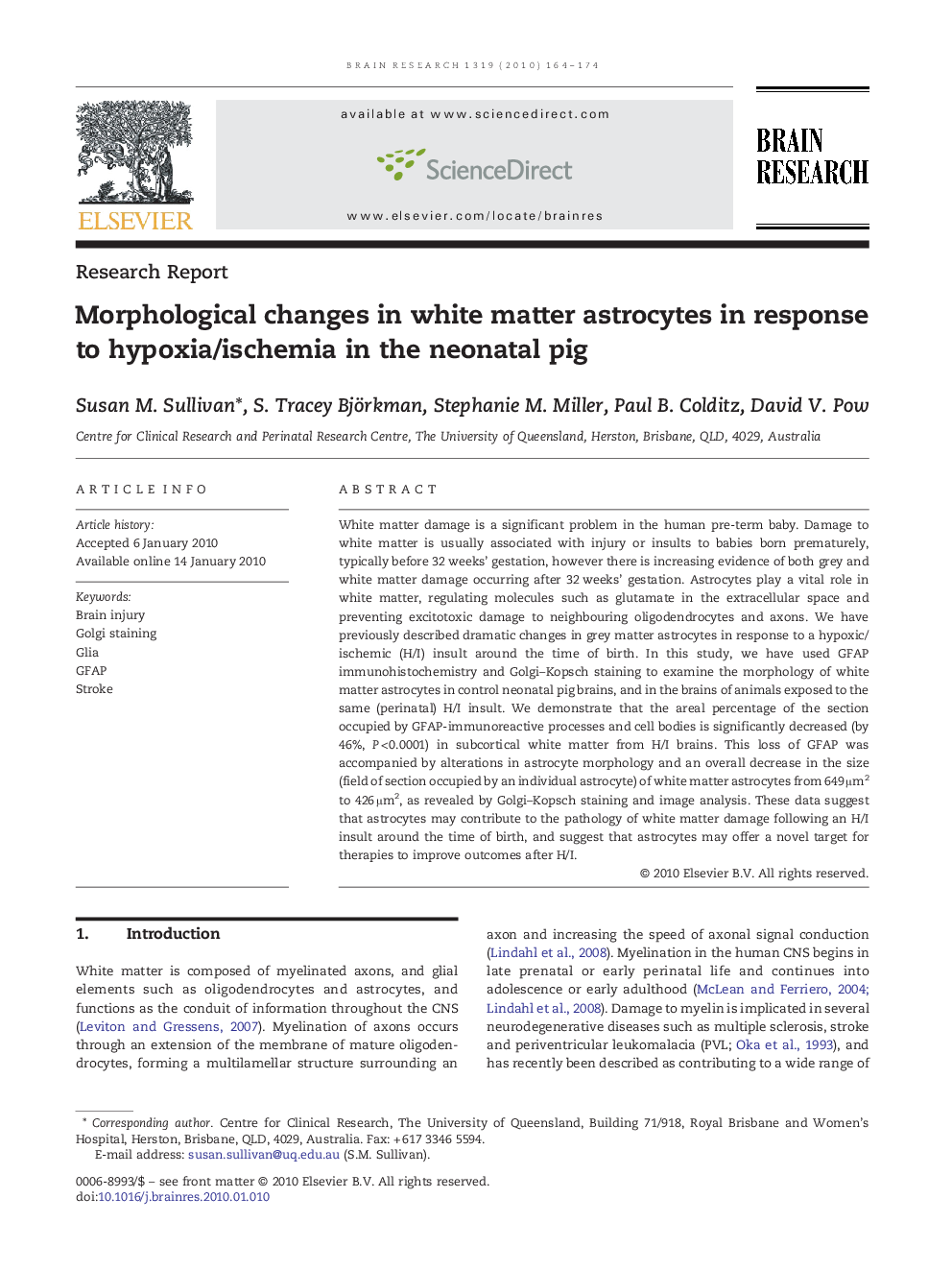 Morphological changes in white matter astrocytes in response to hypoxia/ischemia in the neonatal pig