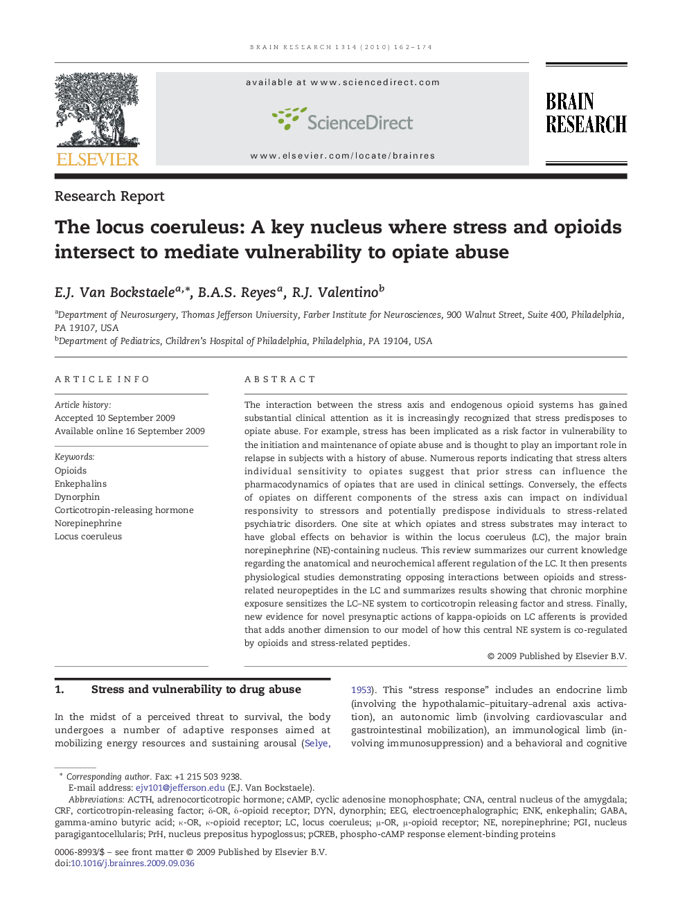 The locus coeruleus: A key nucleus where stress and opioids intersect to mediate vulnerability to opiate abuse