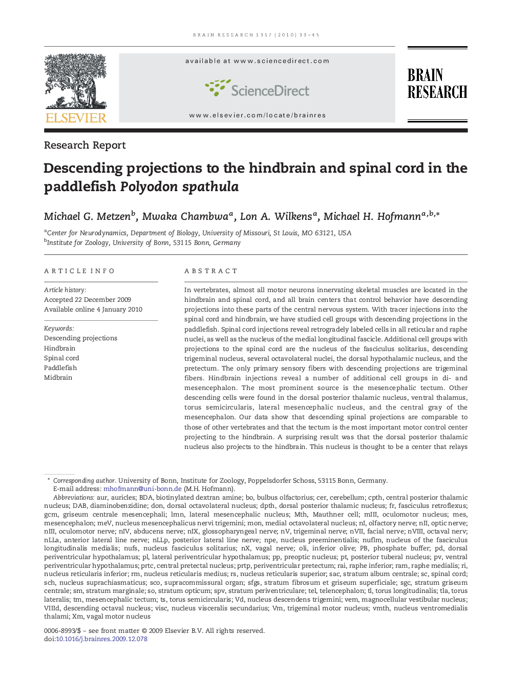 Descending projections to the hindbrain and spinal cord in the paddlefish Polyodon spathula