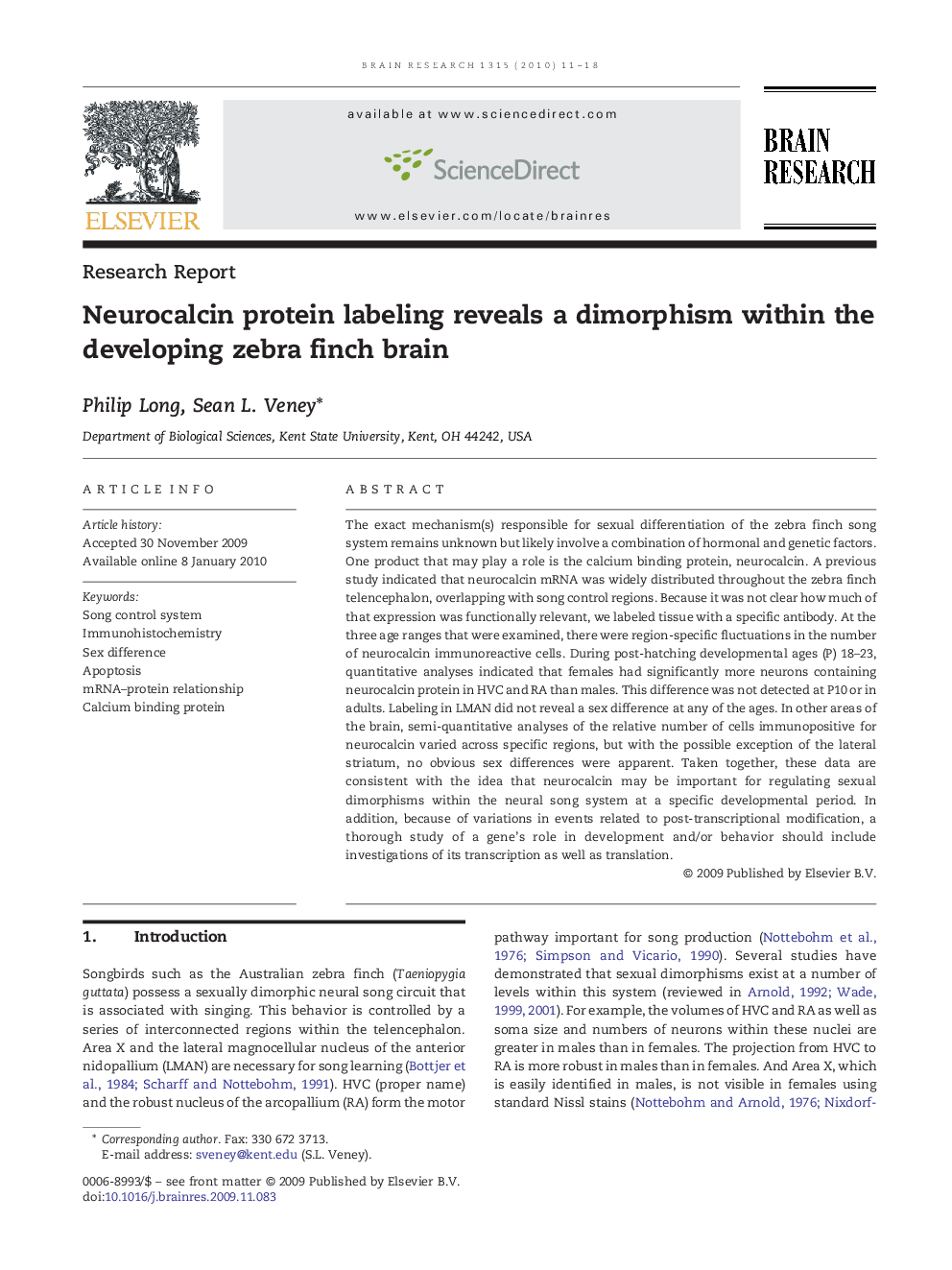 Neurocalcin protein labeling reveals a dimorphism within the developing zebra finch brain