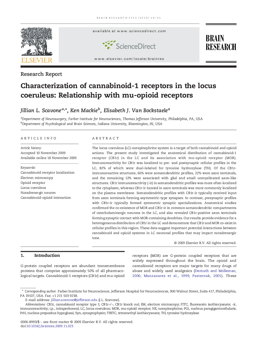 Characterization of cannabinoid-1 receptors in the locus coeruleus: Relationship with mu-opioid receptors