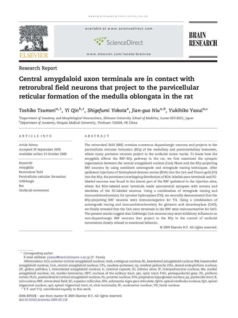 Central amygdaloid axon terminals are in contact with retrorubral field neurons that project to the parvicellular reticular formation of the medulla oblongata in the rat