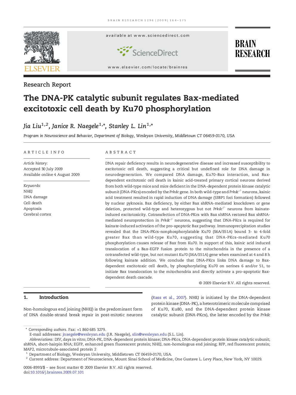 The DNA-PK catalytic subunit regulates Bax-mediated excitotoxic cell death by Ku70 phosphorylation