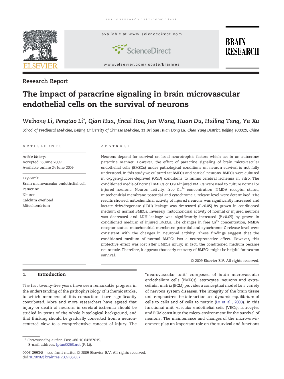 The impact of paracrine signaling in brain microvascular endothelial cells on the survival of neurons