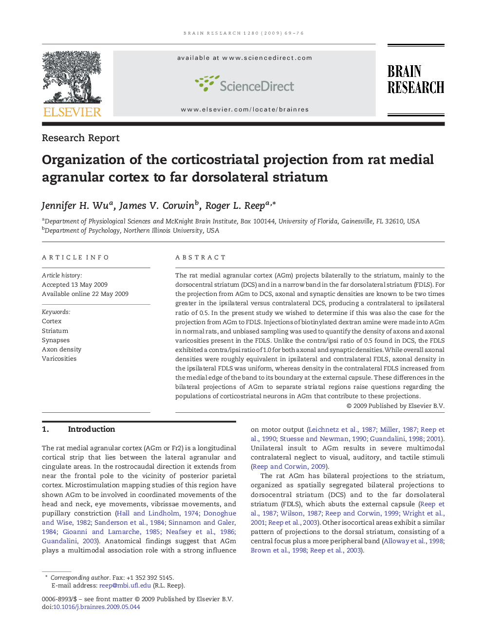 Organization of the corticostriatal projection from rat medial agranular cortex to far dorsolateral striatum