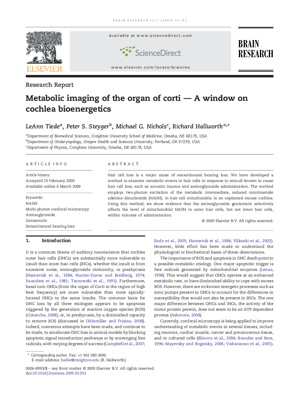 Metabolic imaging of the organ of corti — A window on cochlea bioenergetics