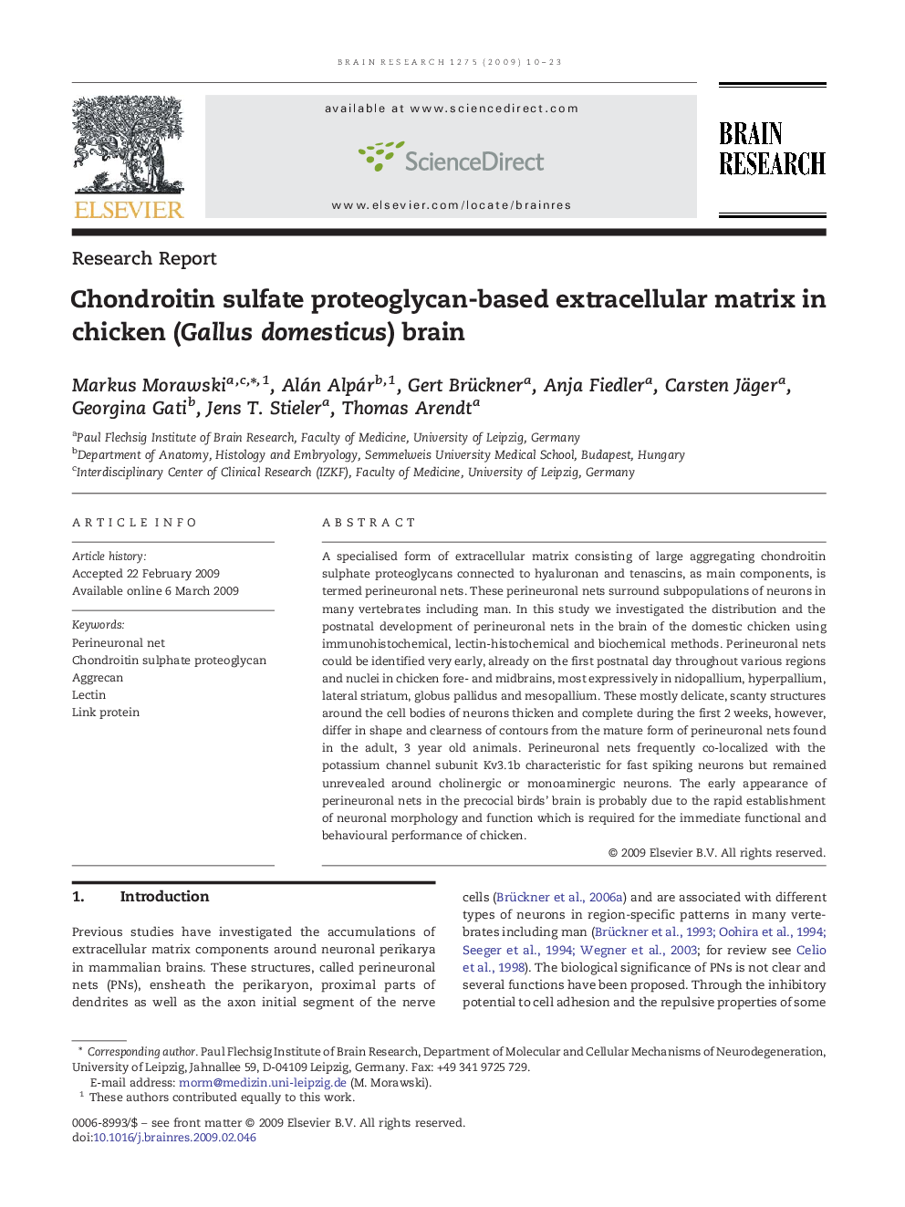 Chondroitin sulfate proteoglycan-based extracellular matrix in chicken (Gallus domesticus) brain