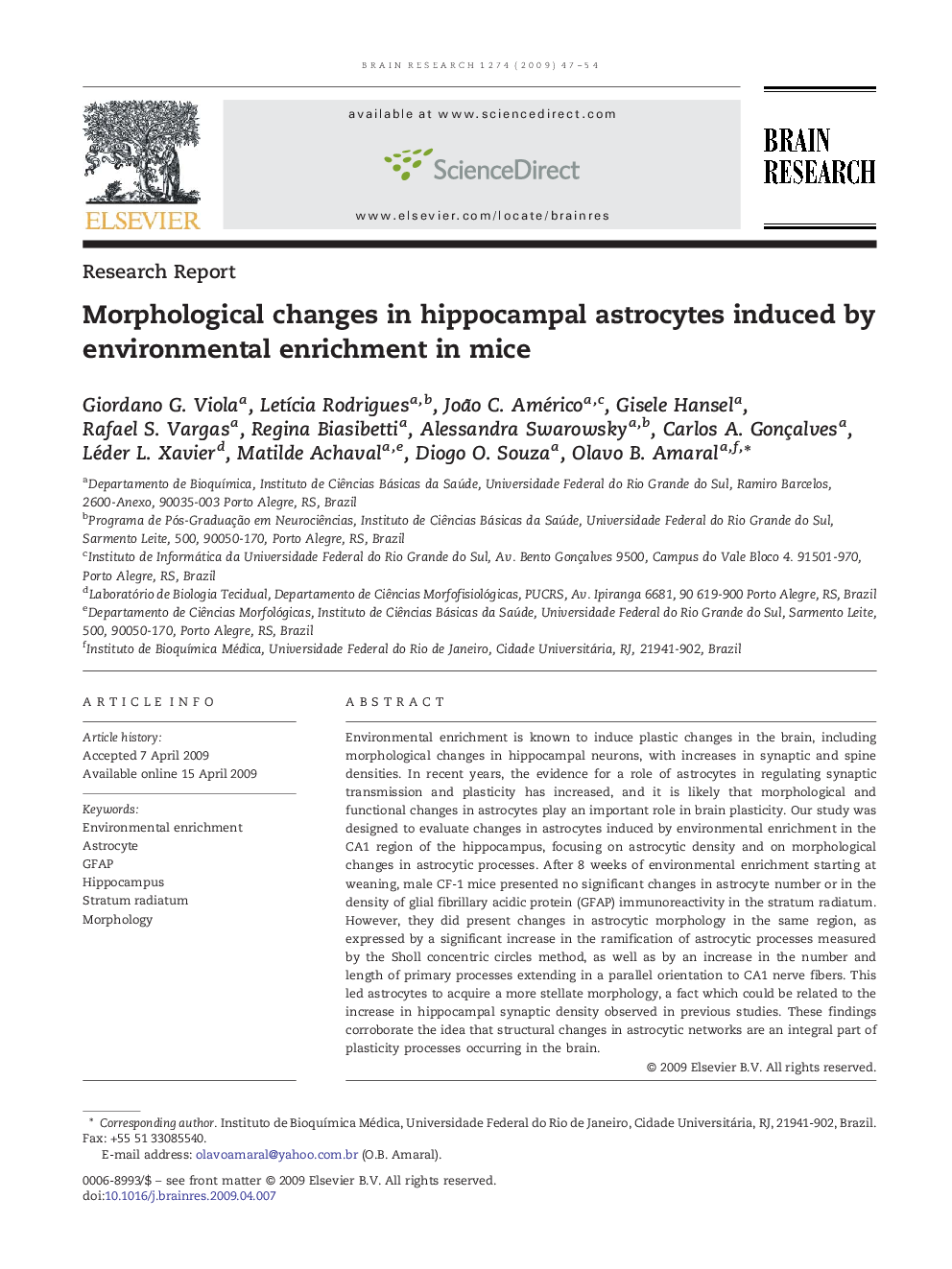 Morphological changes in hippocampal astrocytes induced by environmental enrichment in mice