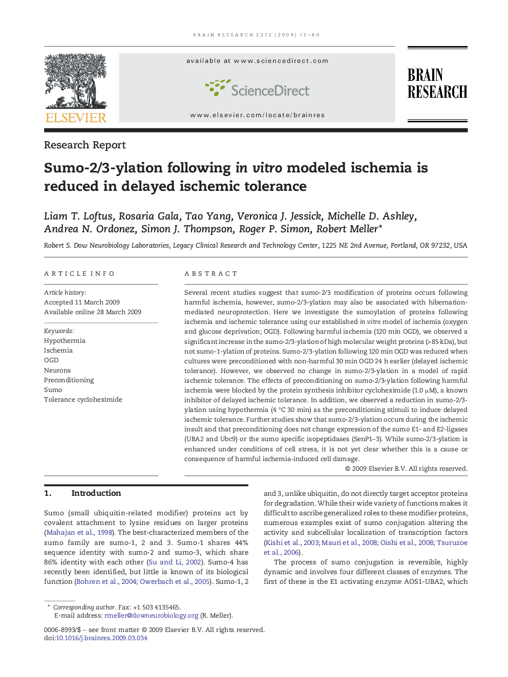 Sumo-2/3-ylation following in vitro modeled ischemia is reduced in delayed ischemic tolerance