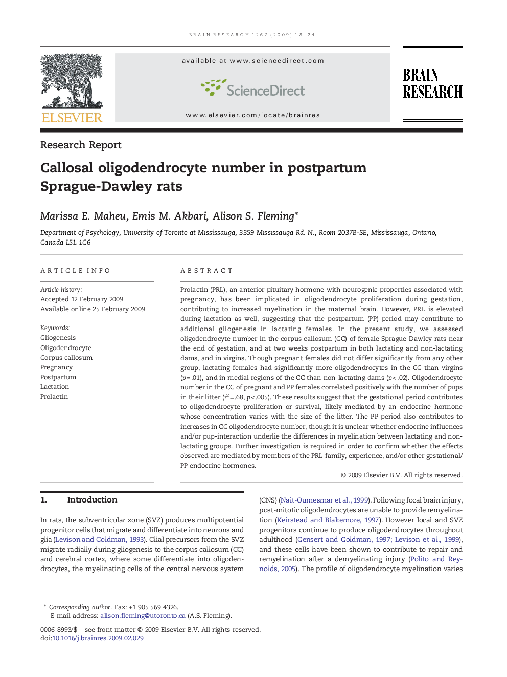 Callosal oligodendrocyte number in postpartum Sprague-Dawley rats