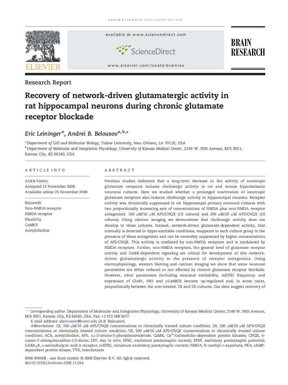 Recovery of network-driven glutamatergic activity in rat hippocampal neurons during chronic glutamate receptor blockade