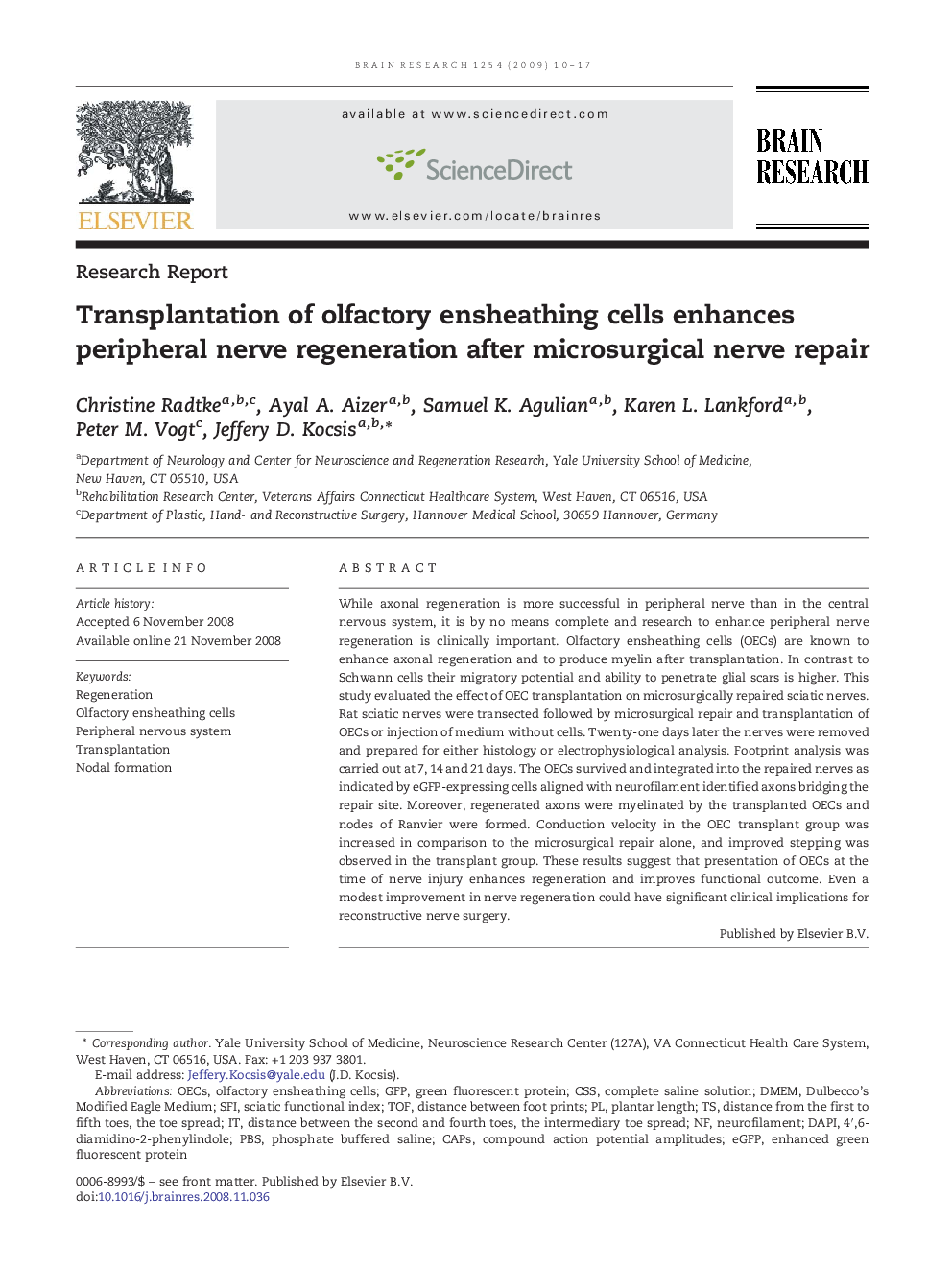 Transplantation of olfactory ensheathing cells enhances peripheral nerve regeneration after microsurgical nerve repair