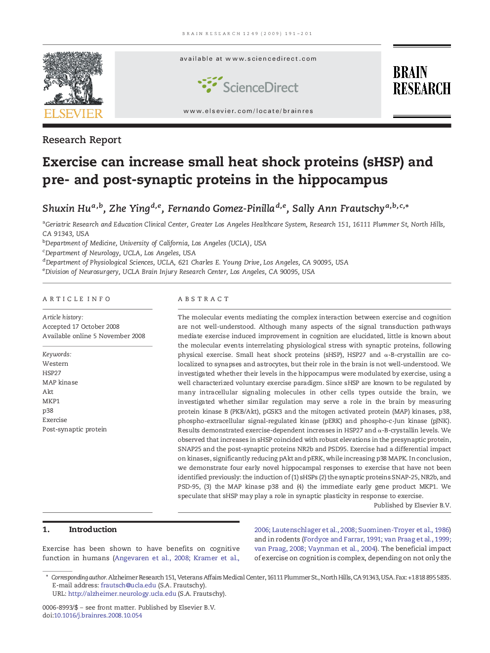 Exercise can increase small heat shock proteins (sHSP) and pre- and post-synaptic proteins in the hippocampus