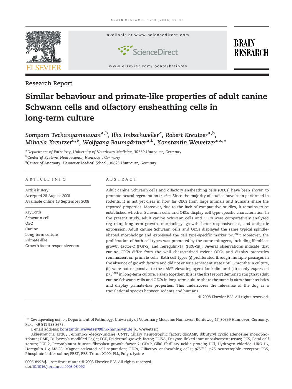 Similar behaviour and primate-like properties of adult canine Schwann cells and olfactory ensheathing cells in long-term culture