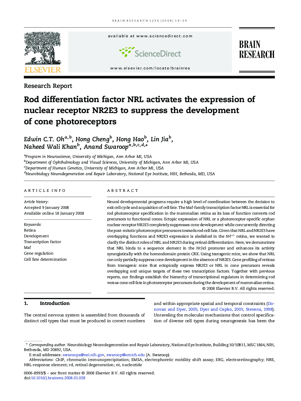 Rod differentiation factor NRL activates the expression of nuclear receptor NR2E3 to suppress the development of cone photoreceptors