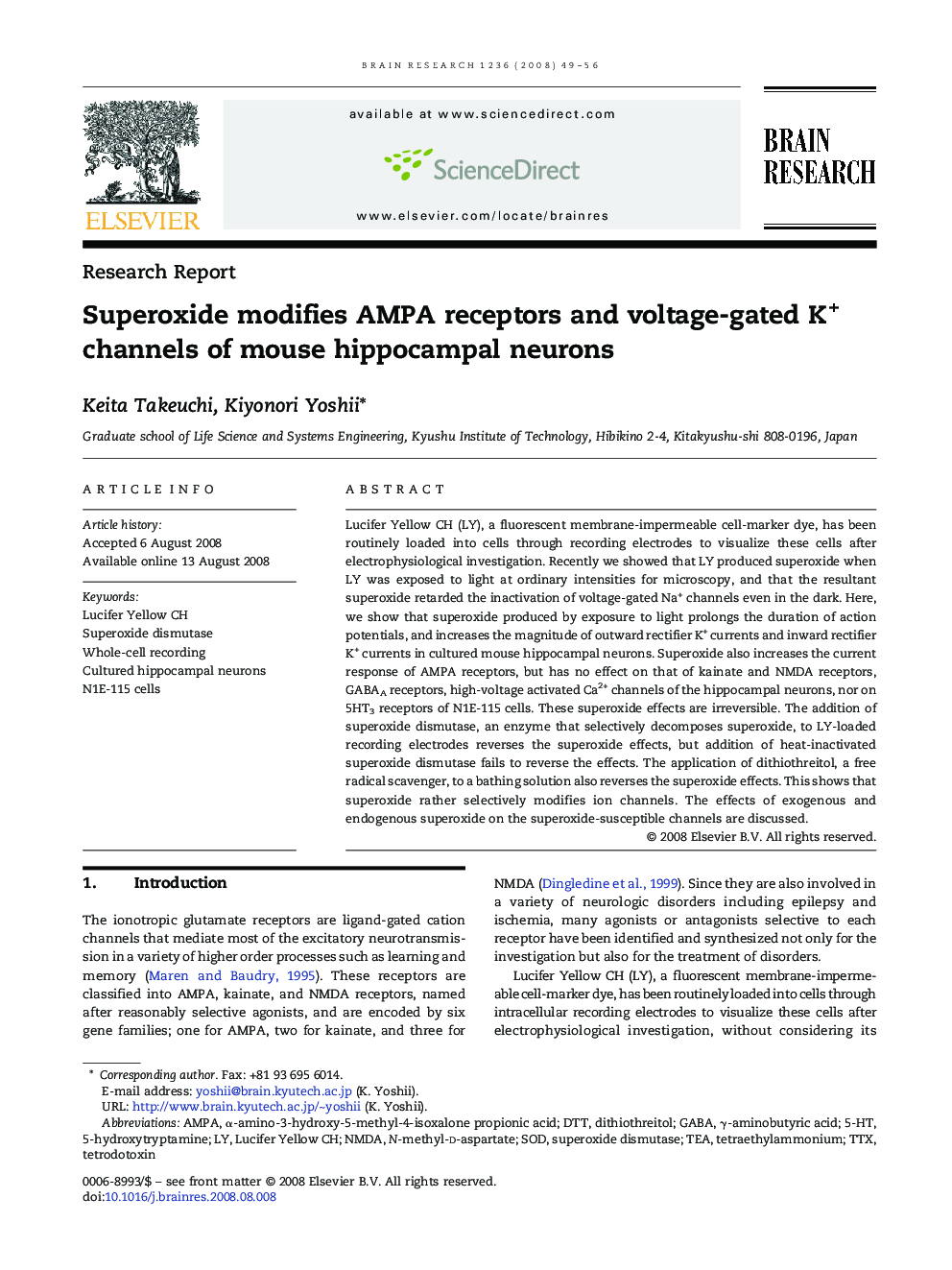 Superoxide modifies AMPA receptors and voltage-gated K+ channels of mouse hippocampal neurons