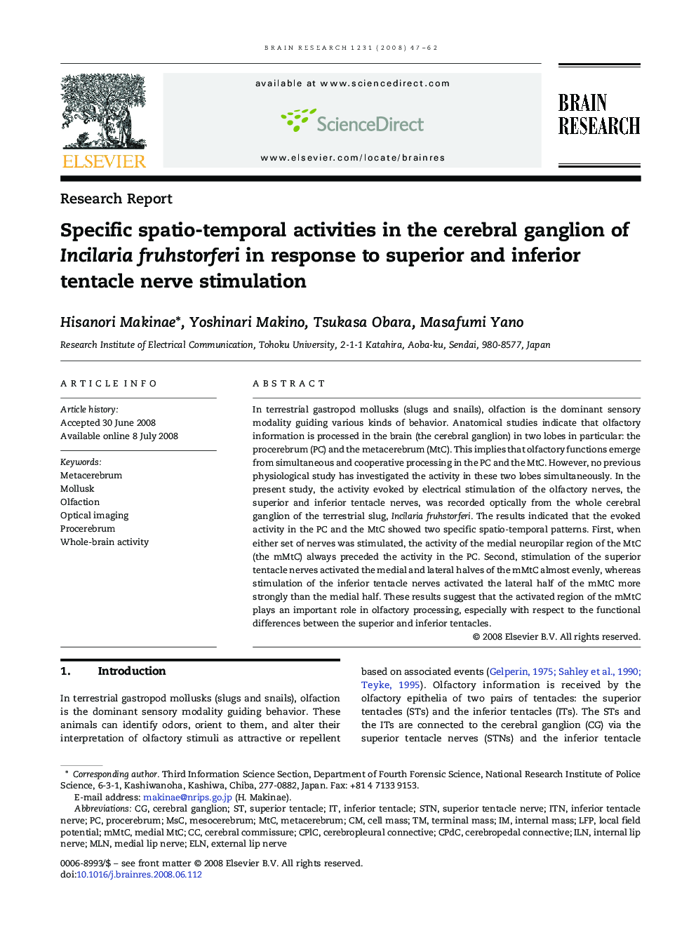 Specific spatio-temporal activities in the cerebral ganglion of Incilaria fruhstorferi in response to superior and inferior tentacle nerve stimulation