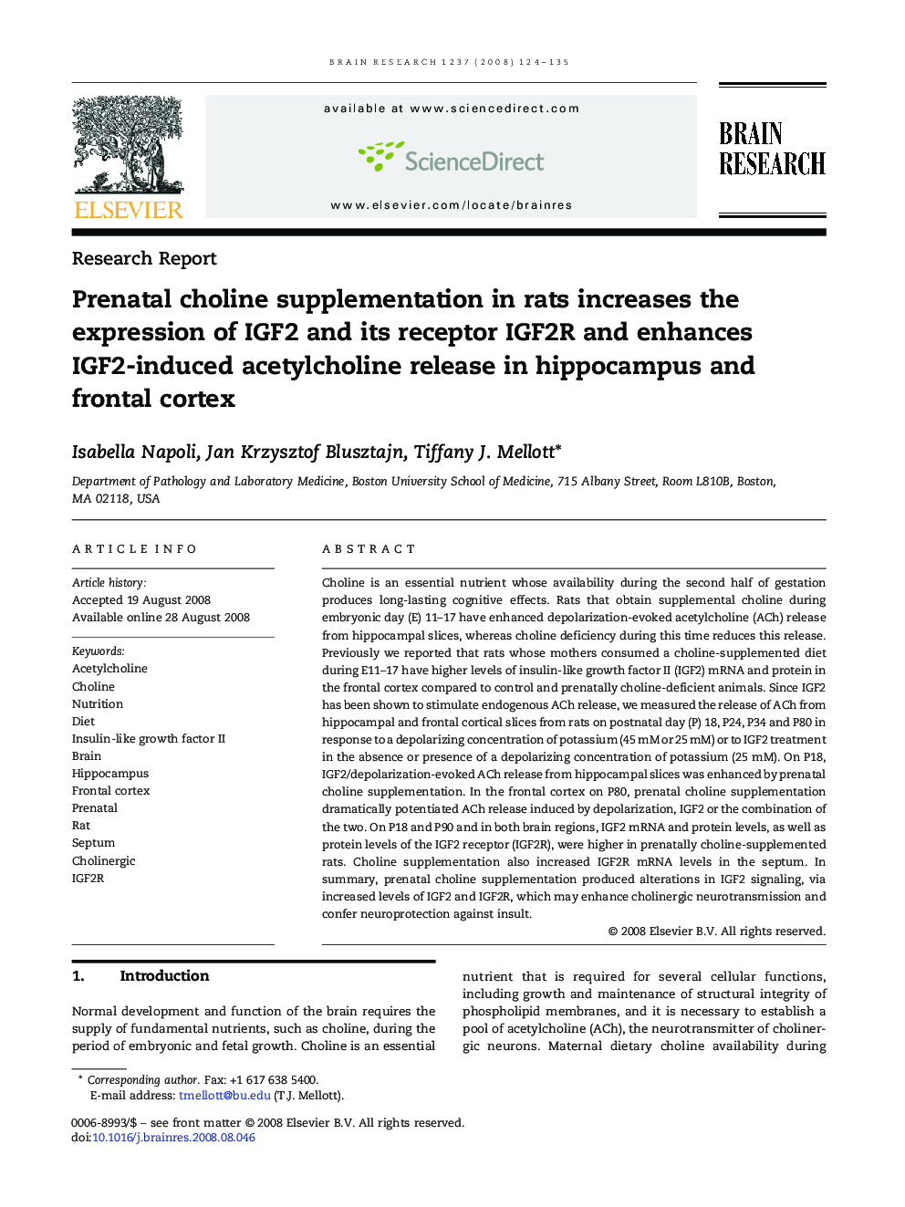 Prenatal choline supplementation in rats increases the expression of IGF2 and its receptor IGF2R and enhances IGF2-induced acetylcholine release in hippocampus and frontal cortex