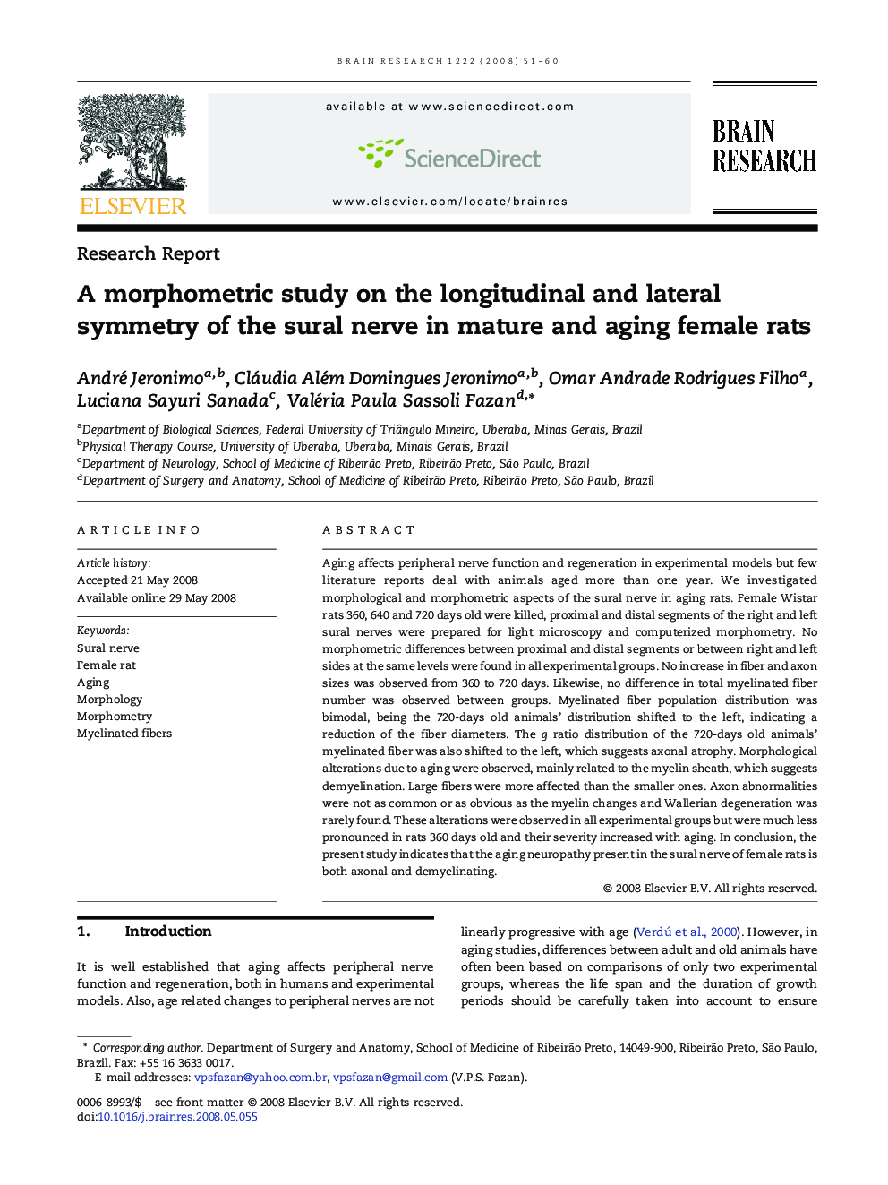 A morphometric study on the longitudinal and lateral symmetry of the sural nerve in mature and aging female rats