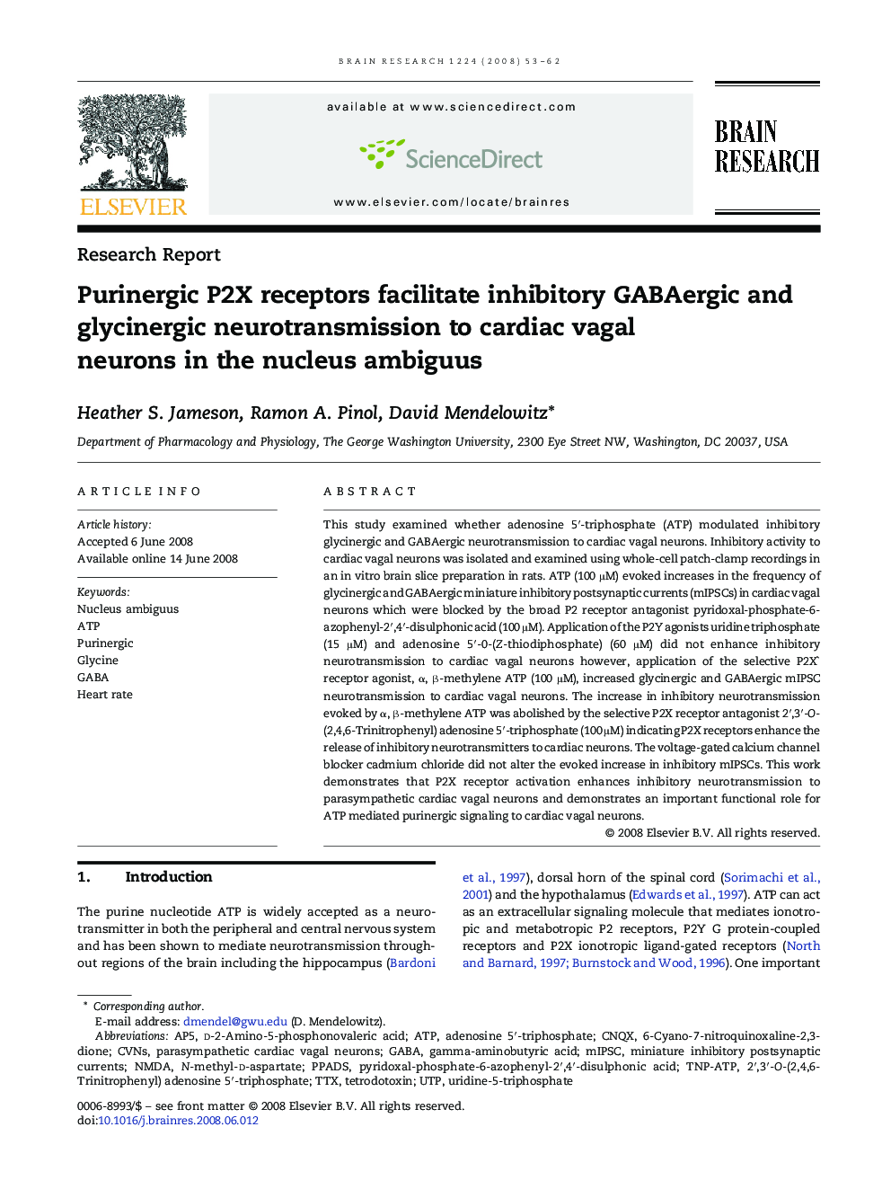 Purinergic P2X receptors facilitate inhibitory GABAergic and glycinergic neurotransmission to cardiac vagal neurons in the nucleus ambiguus