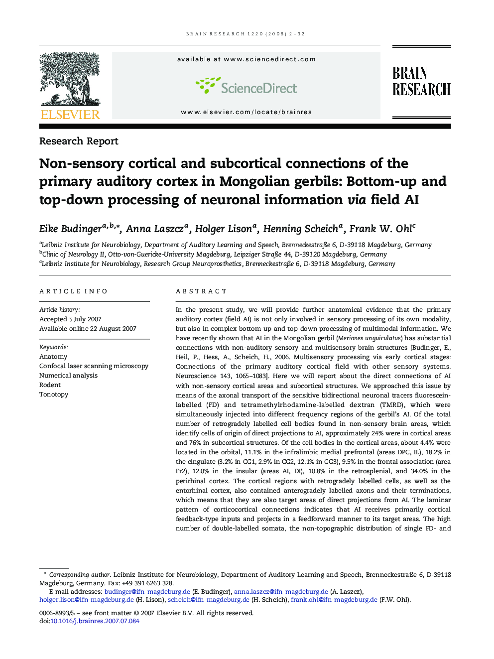 Non-sensory cortical and subcortical connections of the primary auditory cortex in Mongolian gerbils: Bottom-up and top-down processing of neuronal information via field AI