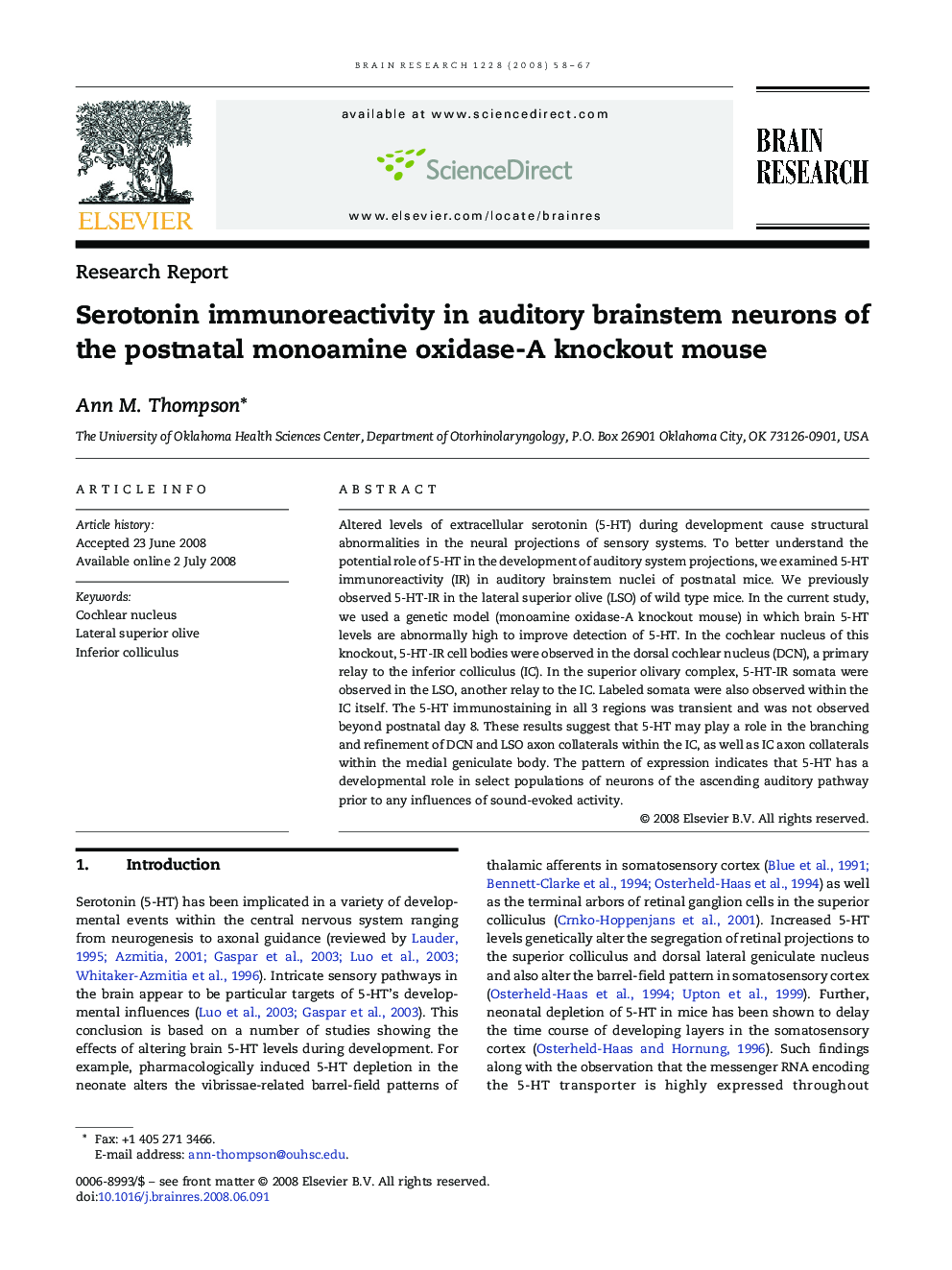 Serotonin immunoreactivity in auditory brainstem neurons of the postnatal monoamine oxidase-A knockout mouse