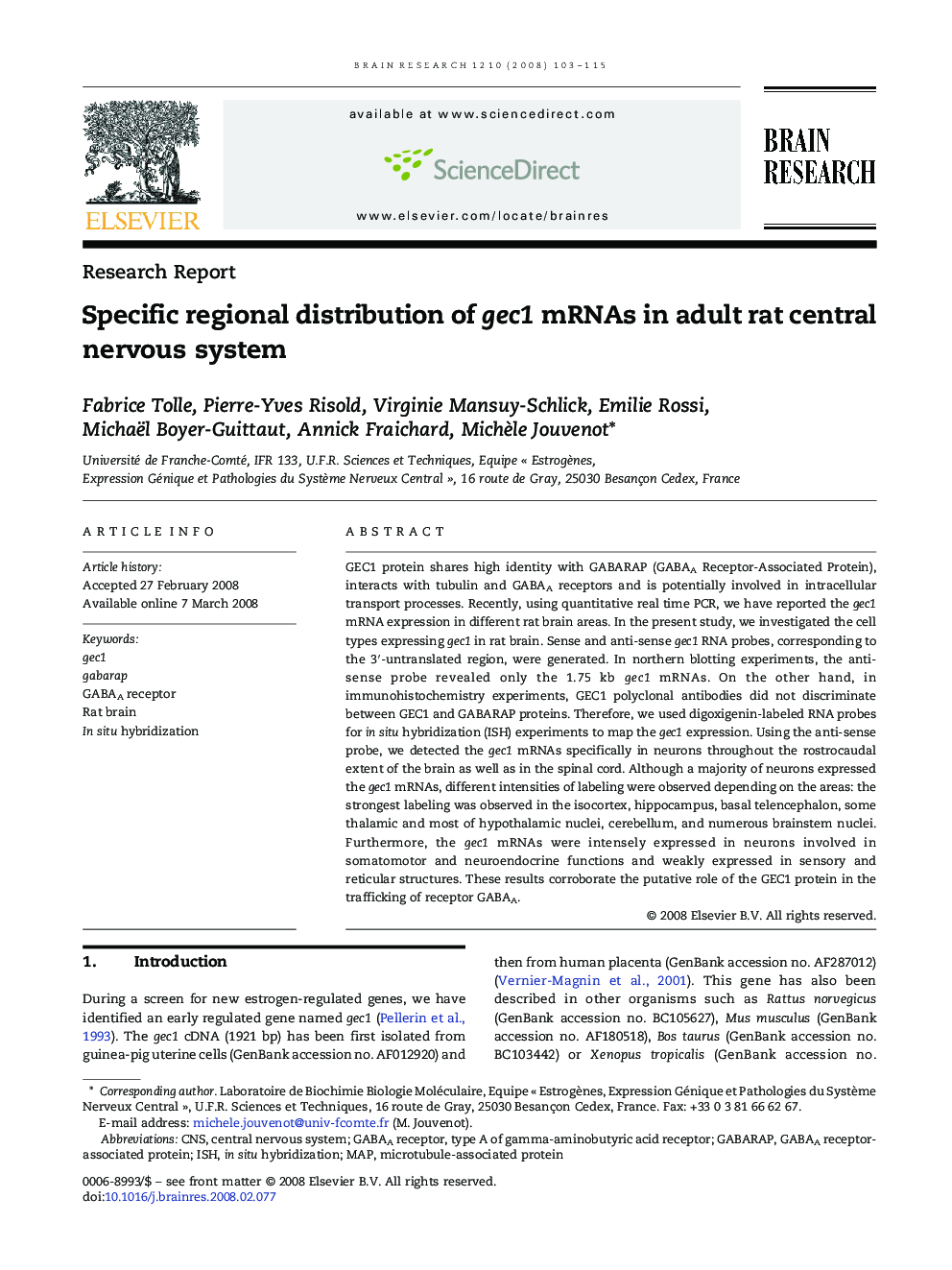 Specific regional distribution of gec1 mRNAs in adult rat central nervous system