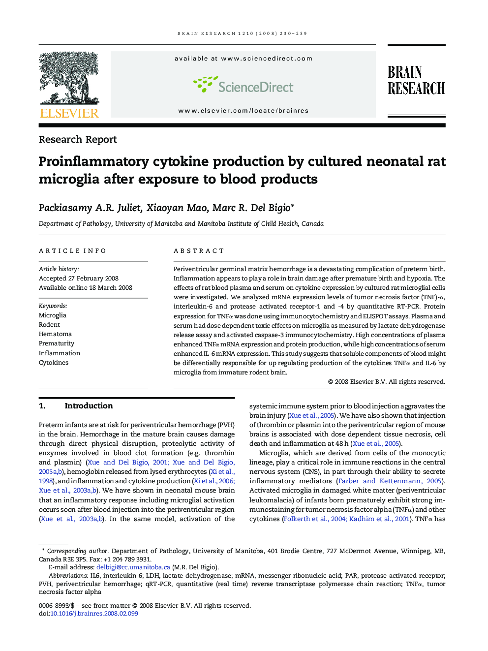 Proinflammatory cytokine production by cultured neonatal rat microglia after exposure to blood products