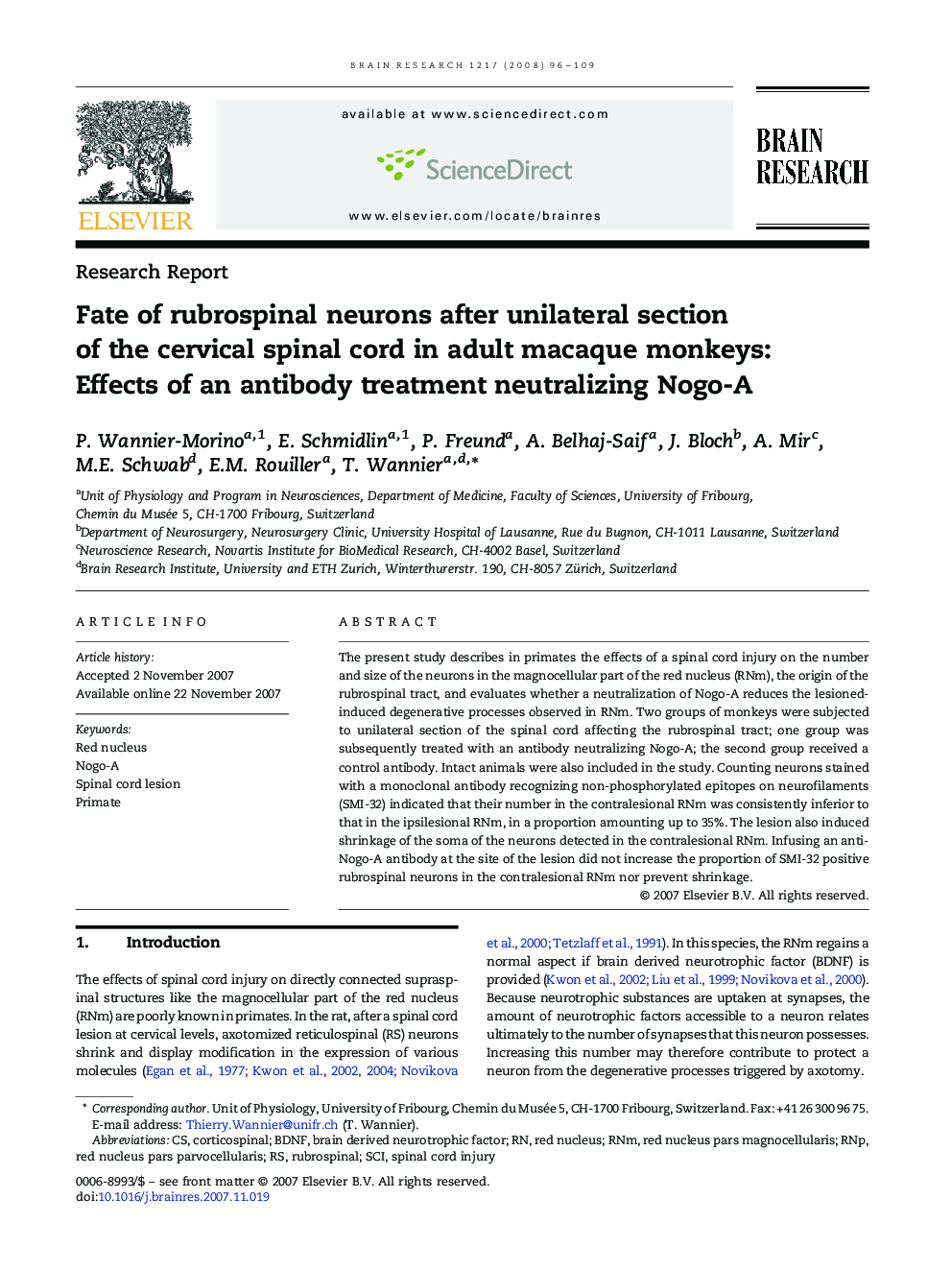 Fate of rubrospinal neurons after unilateral section of the cervical spinal cord in adult macaque monkeys: Effects of an antibody treatment neutralizing Nogo-A