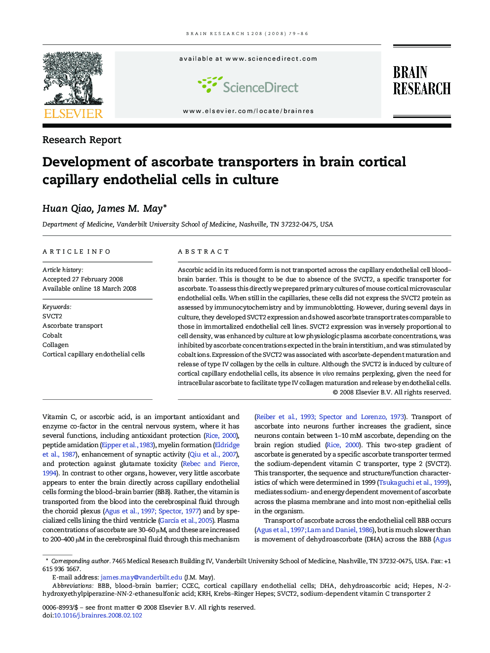 Development of ascorbate transporters in brain cortical capillary endothelial cells in culture