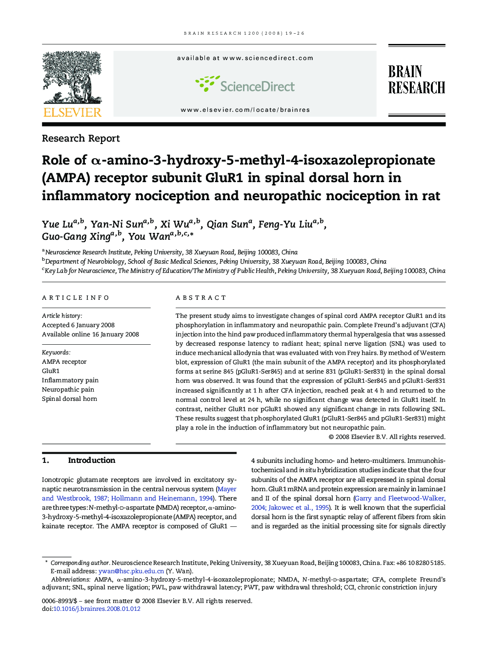 Role of α-amino-3-hydroxy-5-methyl-4-isoxazolepropionate (AMPA) receptor subunit GluR1 in spinal dorsal horn in inflammatory nociception and neuropathic nociception in rat