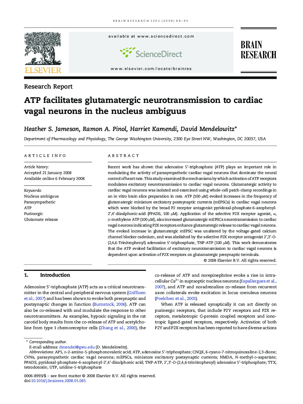 ATP facilitates glutamatergic neurotransmission to cardiac vagal neurons in the nucleus ambiguus