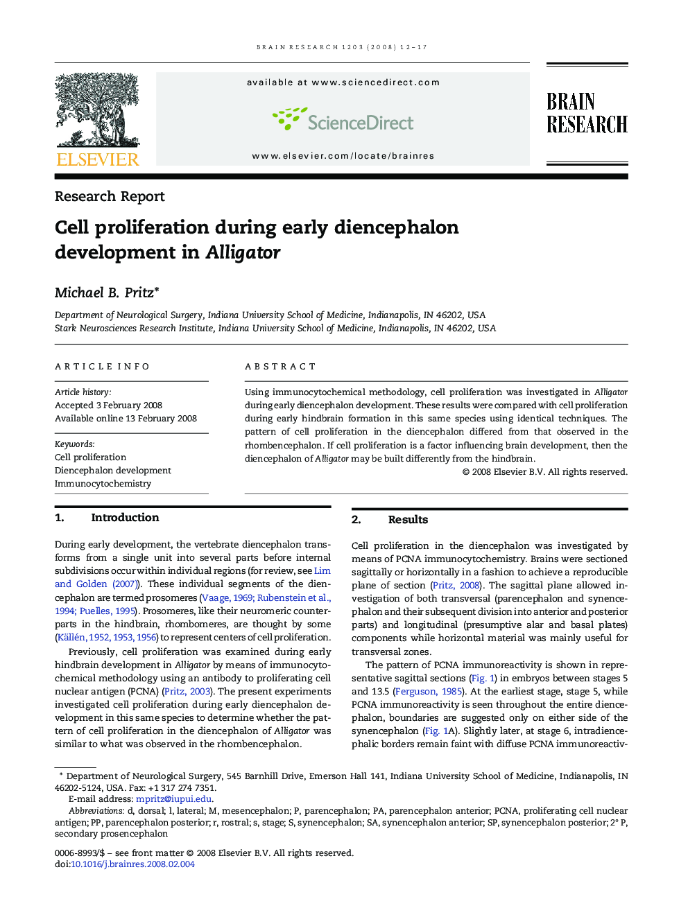 Cell proliferation during early diencephalon development in Alligator