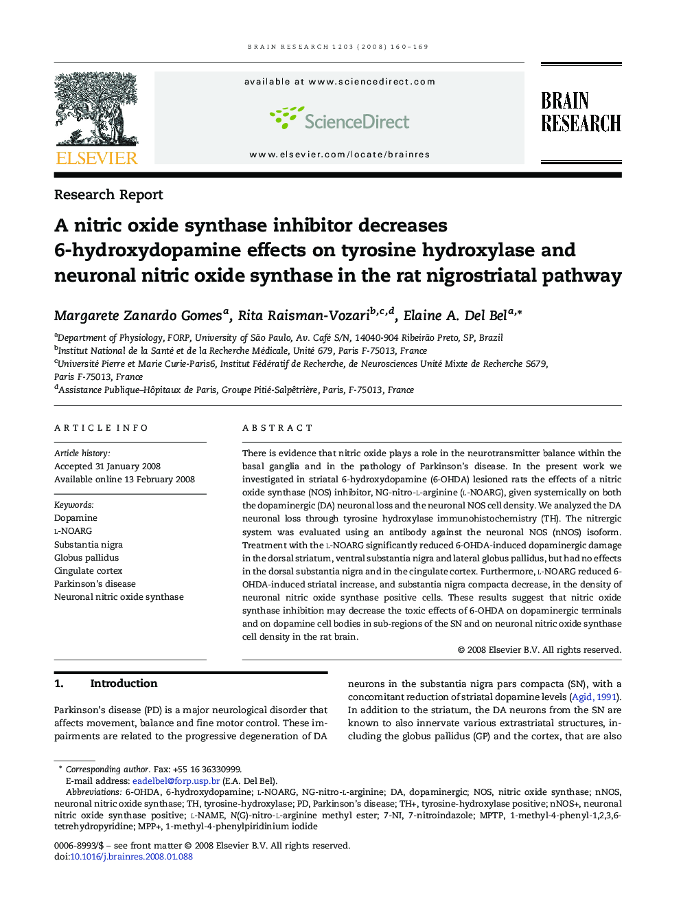 A nitric oxide synthase inhibitor decreases 6-hydroxydopamine effects on tyrosine hydroxylase and neuronal nitric oxide synthase in the rat nigrostriatal pathway