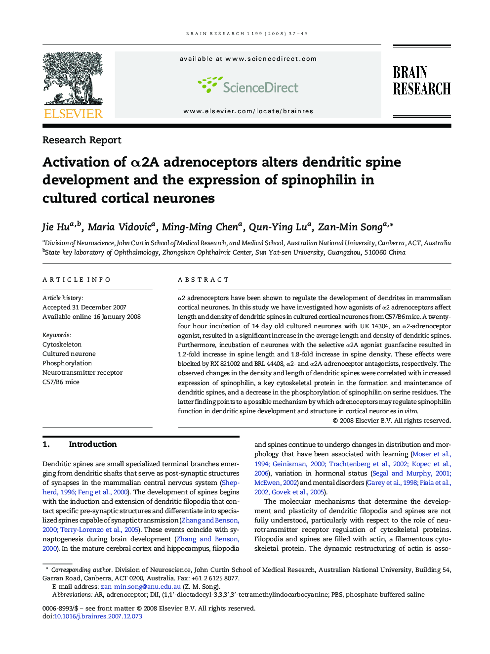 Activation of α2A adrenoceptors alters dendritic spine development and the expression of spinophilin in cultured cortical neurones