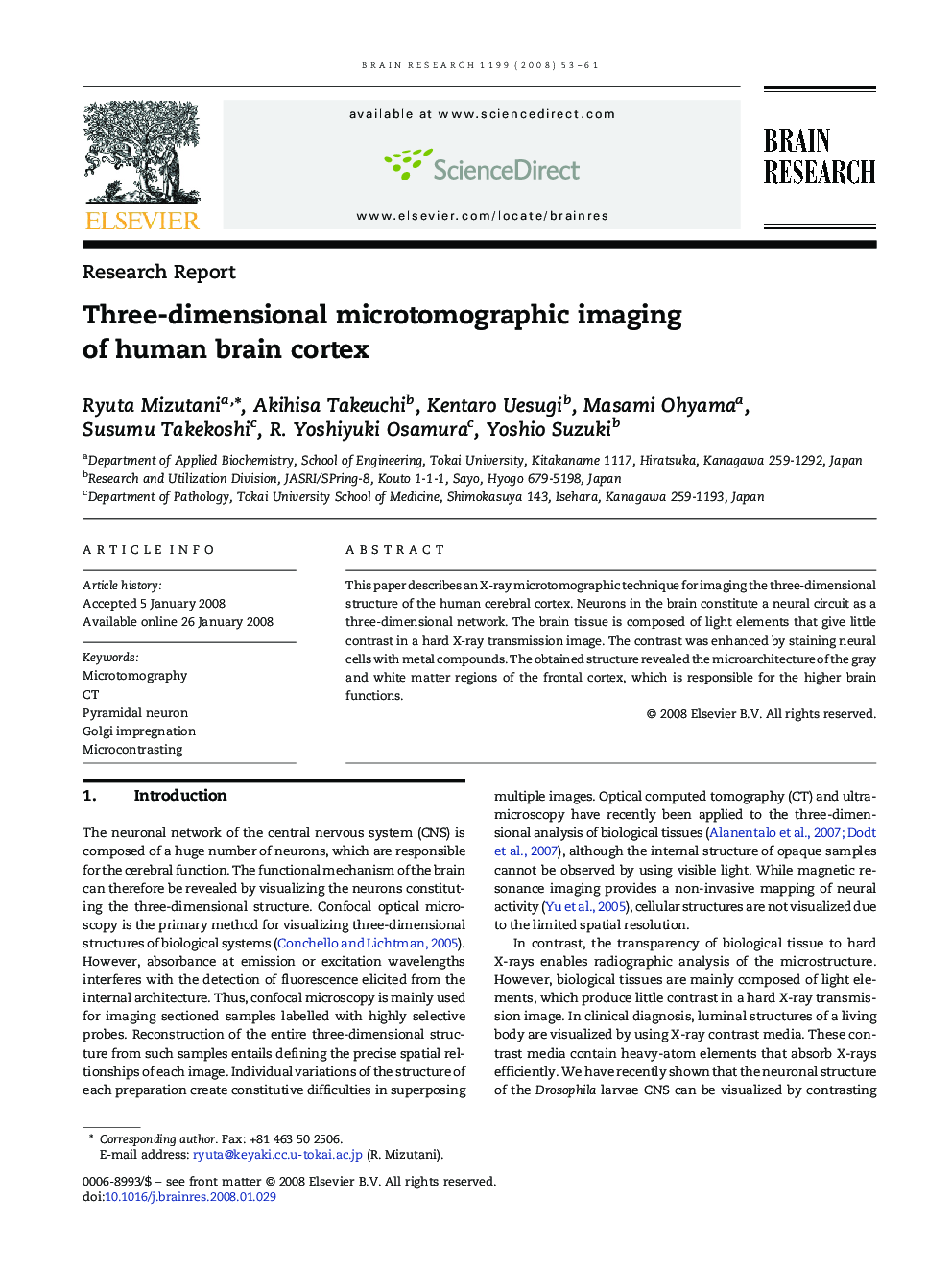 Three-dimensional microtomographic imaging of human brain cortex