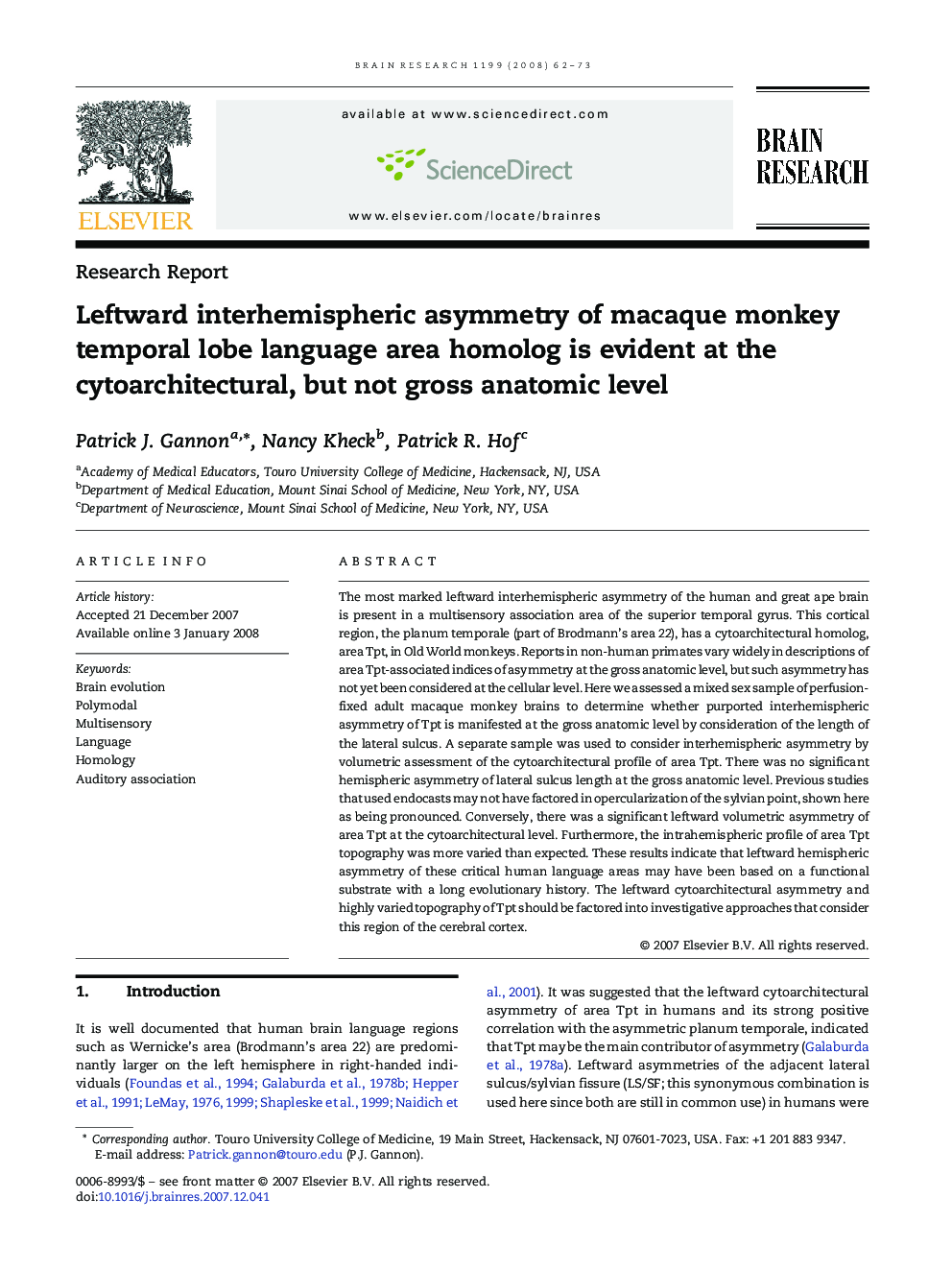 Leftward interhemispheric asymmetry of macaque monkey temporal lobe language area homolog is evident at the cytoarchitectural, but not gross anatomic level