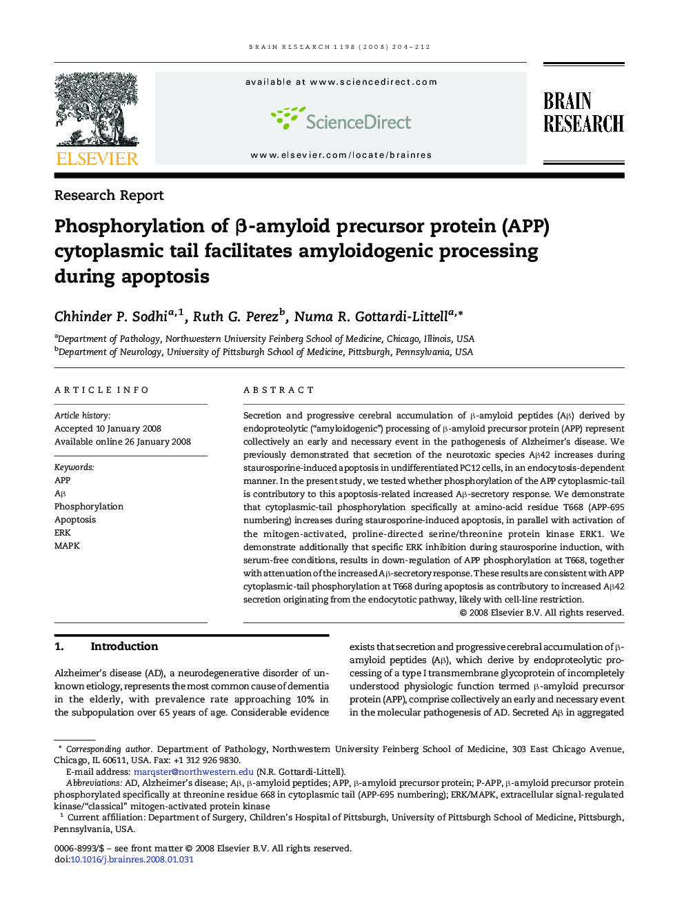 Phosphorylation of Î²-amyloid precursor protein (APP) cytoplasmic tail facilitates amyloidogenic processing during apoptosis