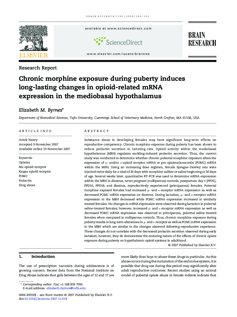 Chronic morphine exposure during puberty induces long-lasting changes in opioid-related mRNA expression in the mediobasal hypothalamus