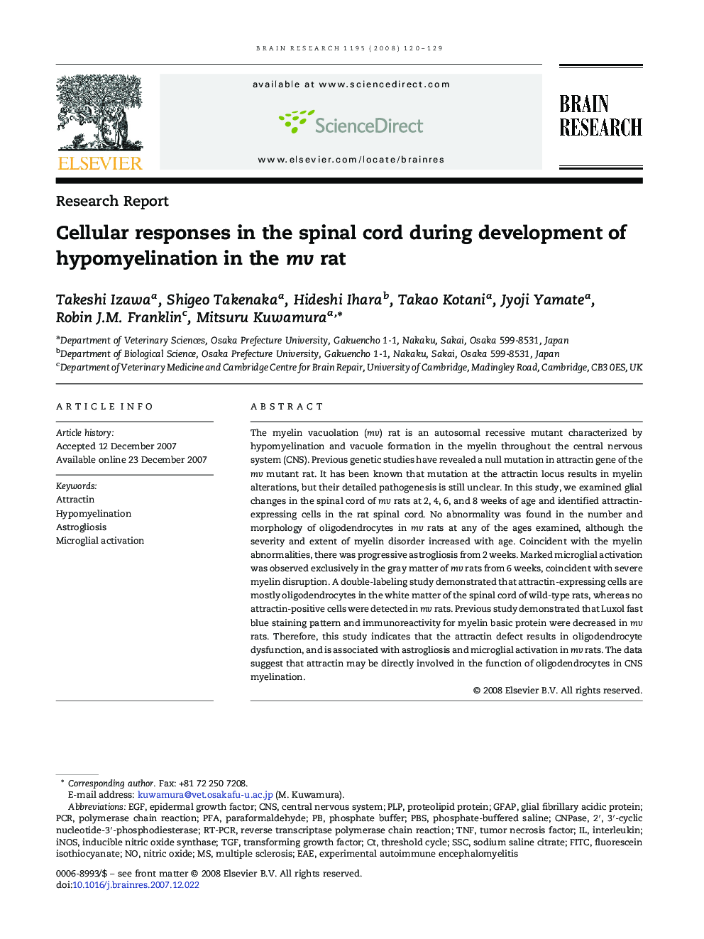 عکس صفحه اول مقاله: Cellular responses in the spinal cord during development of hypomyelination in the mv rat Cellular responses in the spinal cord during development of hypomyelination in the mv rat