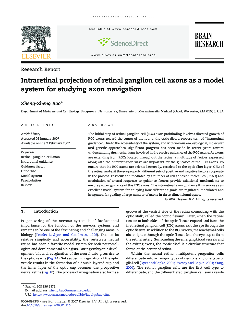 Intraretinal projection of retinal ganglion cell axons as a model system for studying axon navigation