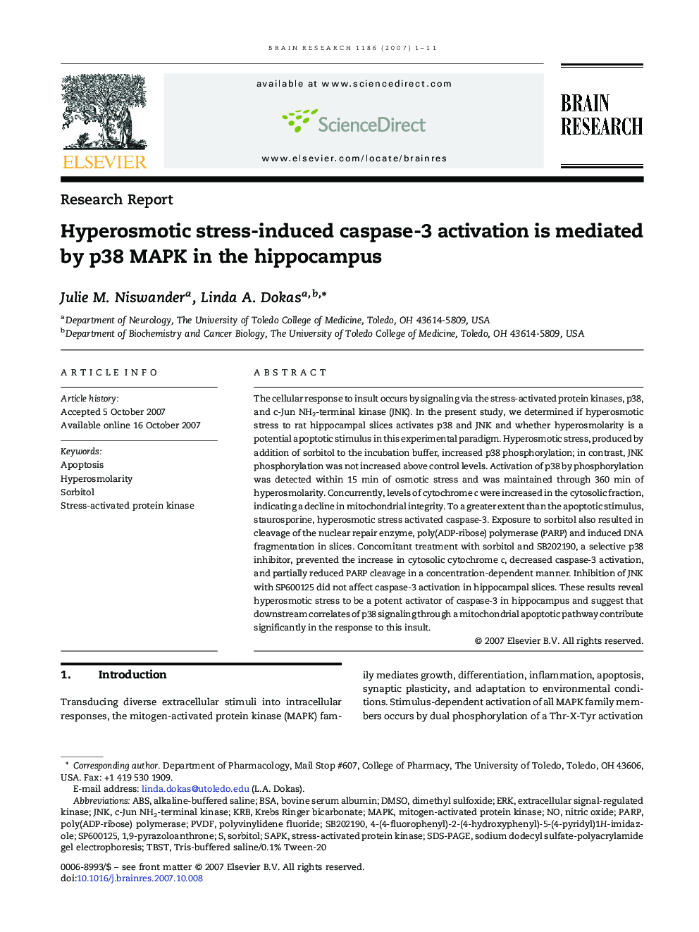 Hyperosmotic stress-induced caspase-3 activation is mediated by p38 MAPK in the hippocampus