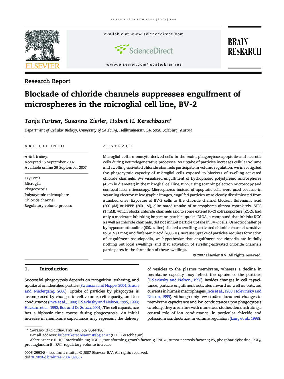 Blockade of chloride channels suppresses engulfment of microspheres in the microglial cell line, BV-2