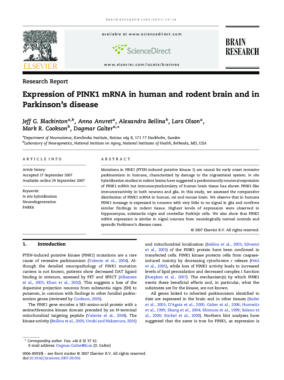 Expression of PINK1 mRNA in human and rodent brain and in Parkinson's disease