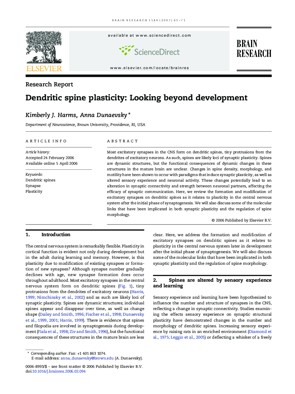 Dendritic spine plasticity: Looking beyond development